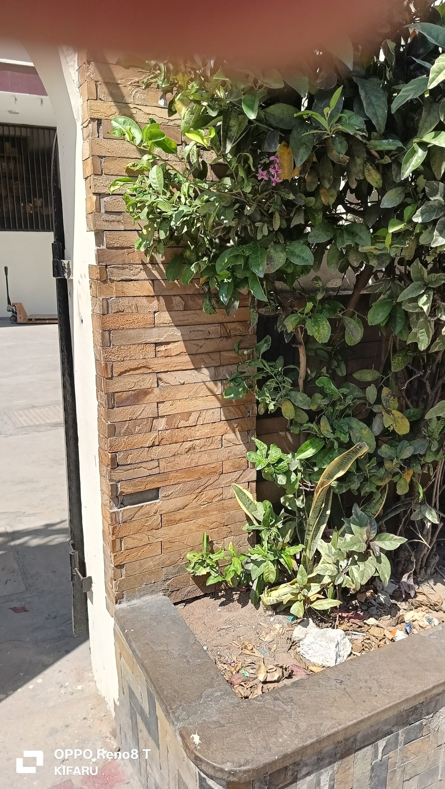 Mazeras tiles