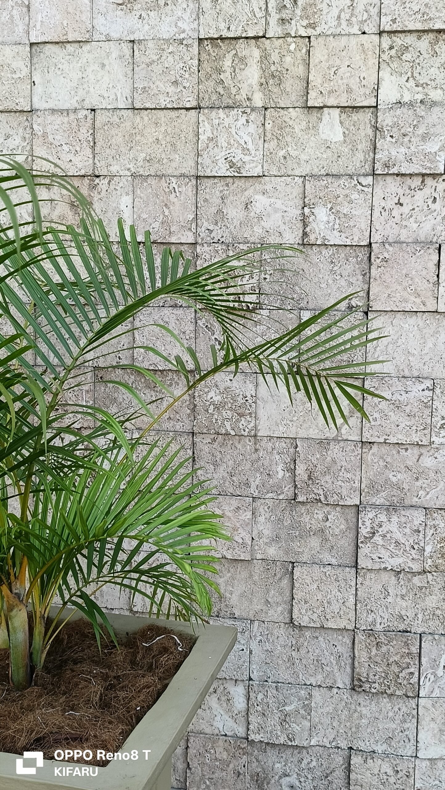 Mazeras tiles
